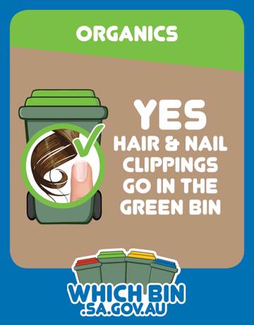 Nail clippings and hair are good to go in the green bin.